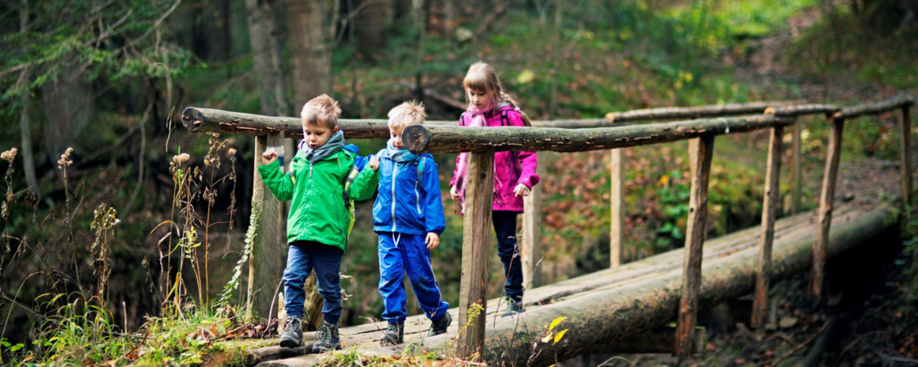 three children crossing a wooden bridge in the forest