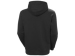 ELEMENTAL HOODIE