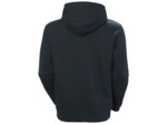 ELEMENTAL HOODIE