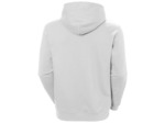 ELEMENTAL HOODIE
