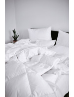 Couleur-db7e3b3e-8401-4ea9-9cd8-2e0ad3876685